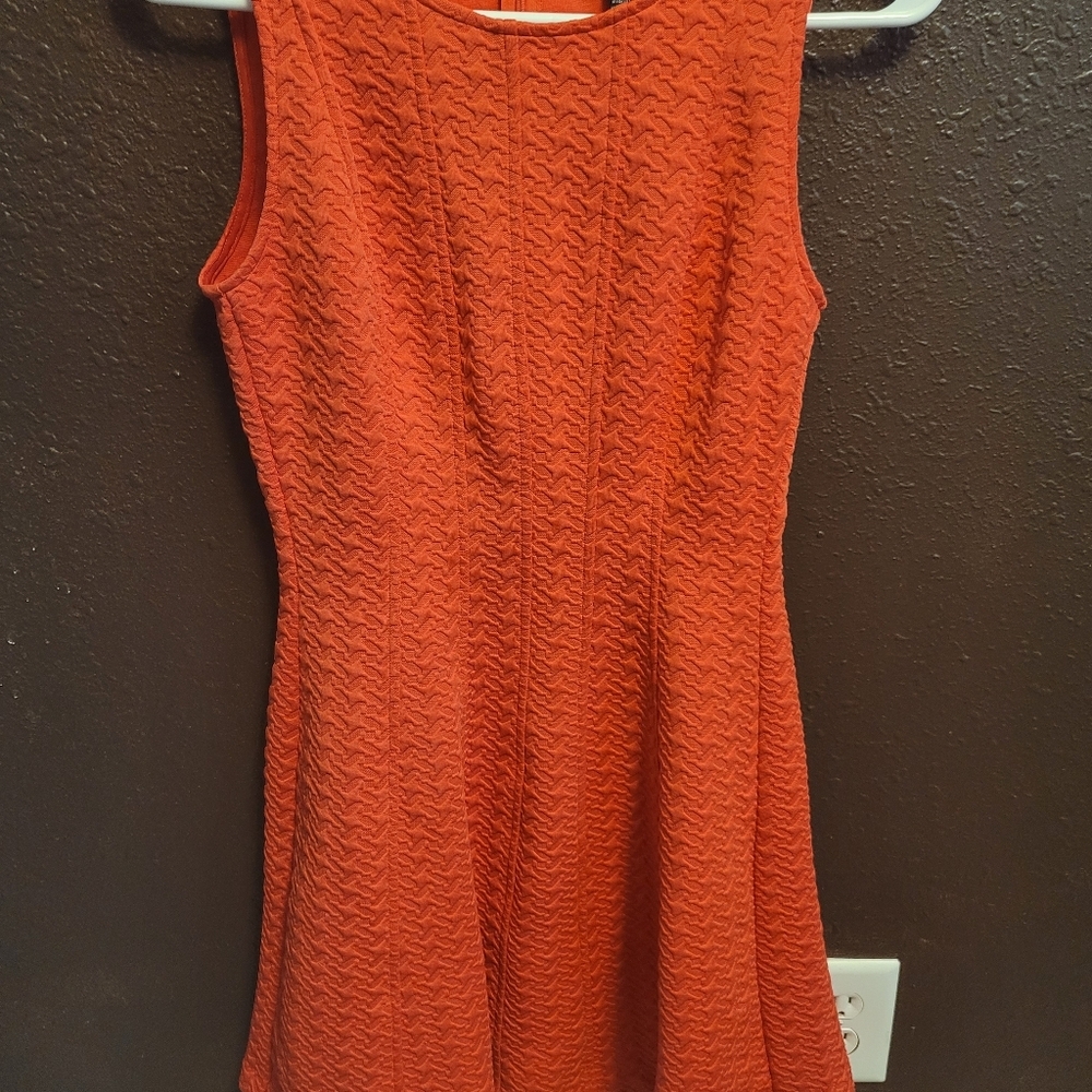 The Limited Coral Fit & Flare Dress